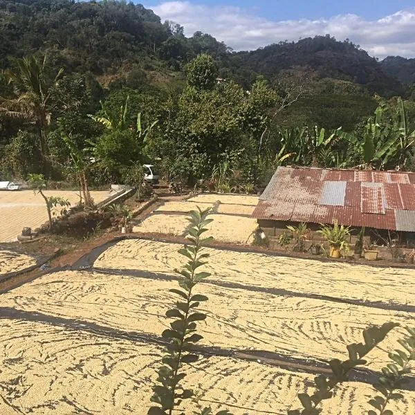 Ericka Sanchez Extended Fermentation - San Antonio Huista, Huehuetenango